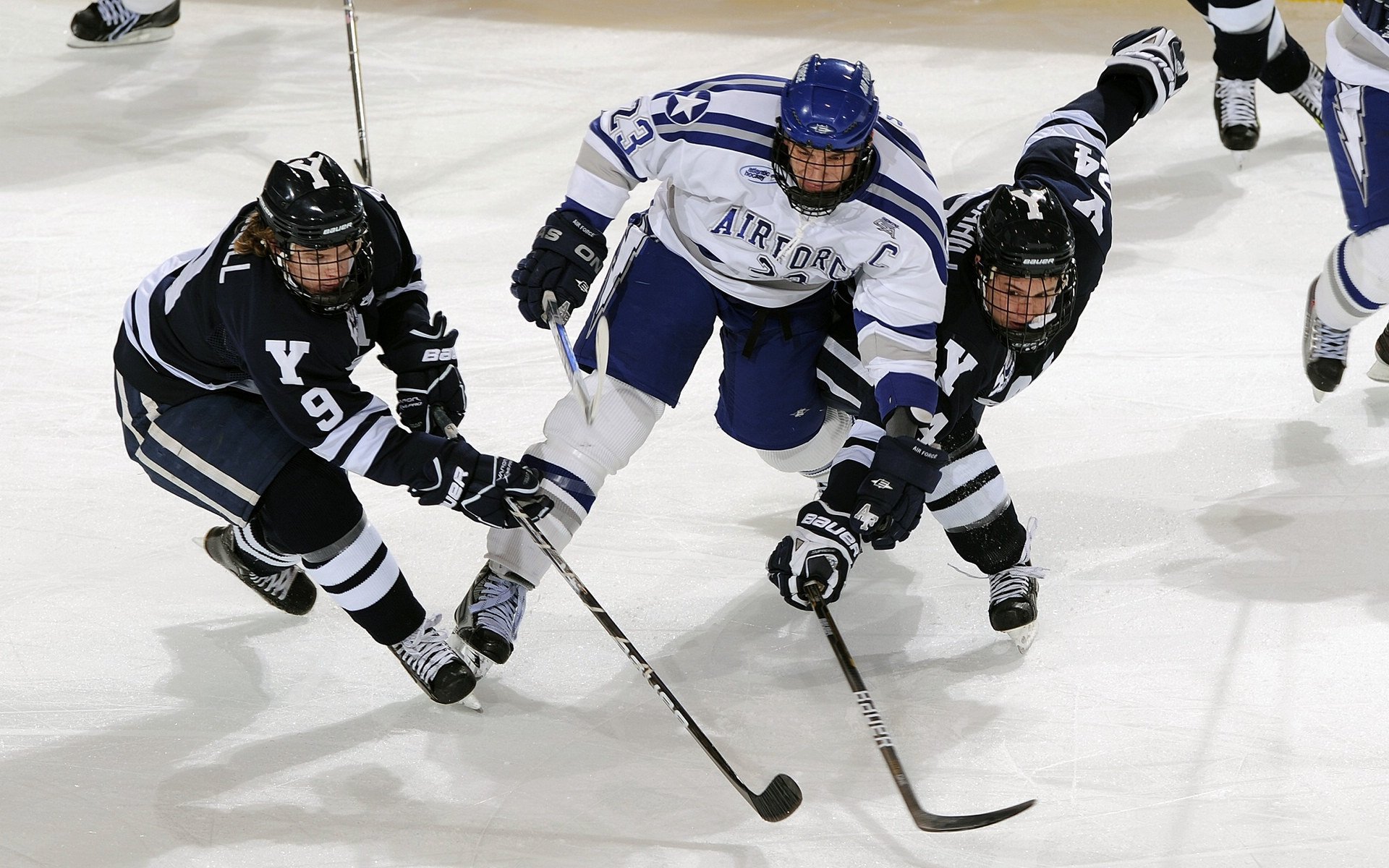 WRC突尼斯站：沙丘中的极速追逐，突尼斯阵容