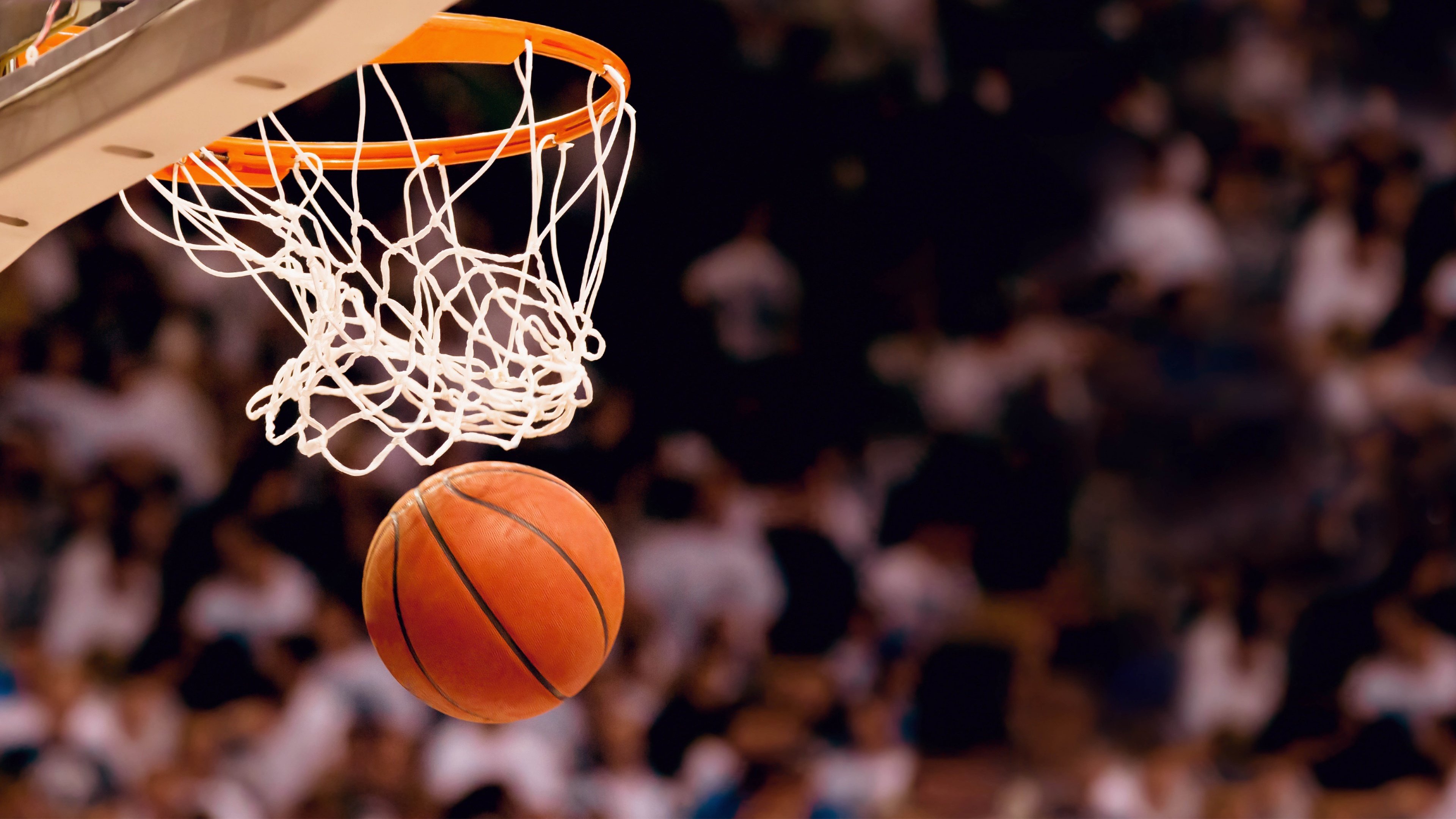 世界网球青年赛教练资格提升班招生开启,网球国家青年队